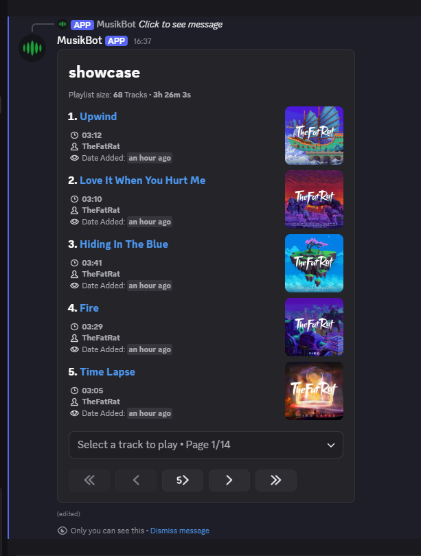 Custom Playlists